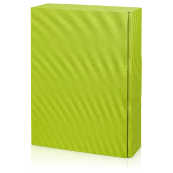 Preview: Fischergeist 56% 0,5 l + 6 Krüge + Tablett+ Pfännchen + Streichhölzer im Geschenkkarton grün