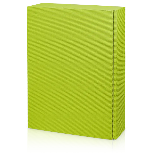 Fischergeist 56% 0,5 l + 6 Krüge + Tablett+ Pfännchen + Streichhölzer im Geschenkkarton grün