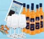 6 Flaschen Behn Andalö Sanddornlikör 15% Vol. 0,7 l + 6 Andalö Aperitif Gläser